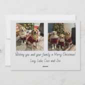 Cartes Pour Fêtes Annuelles Script Merry Christmas Photo Card (Dos)