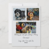 Cartes Pour Fêtes Annuelles Script Merry Christmas Photo Card (Dos)