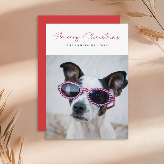 Cartes Pour Fêtes Annuelles Script moderne Funny Chien Photo Famille Noël Roug