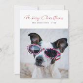 Cartes Pour Fêtes Annuelles Script moderne Funny Chien Photo Famille Noël Roug (Devant)
