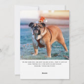 Cartes Pour Fêtes Annuelles Script Moderne Photo Animal de compagnie Joyeuses  (Dos)