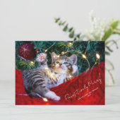 Cartes Pour Fêtes Annuelles Script photo pour animal de compagnie moderne Paws (Debout devant)