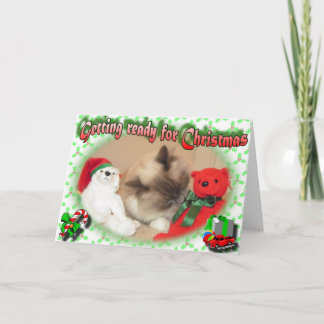 Cartes Pour Fêtes Annuelles Se préparer pour Noël !