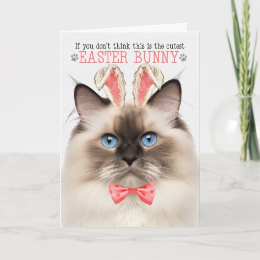Cartes Pour Fêtes Annuelles Seal Point Ragdoll Plus Mignon Lapin de Pâques Kit (Devant)