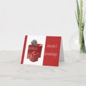 Cartes Pour Fêtes Annuelles Season’s Greming german shorthé pointeur pup (Devant)