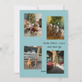 Cartes Pour Fêtes Annuelles Seasons Greetings Snowflake Photo Card (Dos)