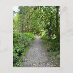 Cartes Pour Fêtes Annuelles Sentier à travers les bois sur l'île de Bute en Éc