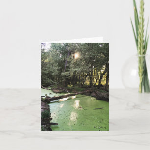 Cartes Pour Fêtes Annuelles sentier de pointe