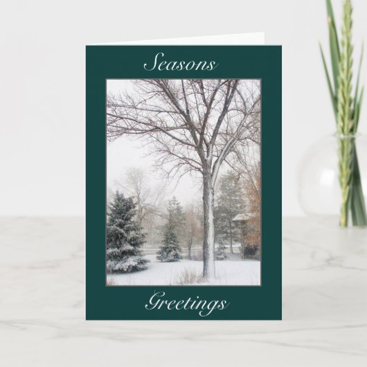 Cartes Pour Fêtes Annuelles Sérénité dans la tempête de neige (Devant)