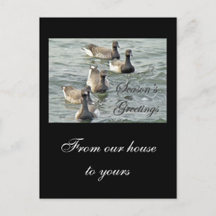 Cartes Pour Fêtes Annuelles Séries Atlantic Brant Geese Season