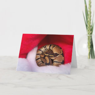 Cartes Pour Fêtes Annuelles Serpent enroulé dans le chapeau de Santa, python à