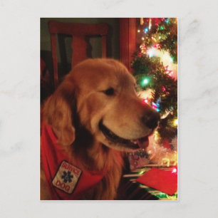 Cartes Pour Fêtes Annuelles Service Dog Jonah Christmas Postcard