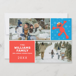 Cartes Pour Fêtes Annuelles Sesame Street Photo de famille d'Elmo au flocon