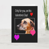 Cartes Pour Fêtes Annuelles Seulement pour vous sur le Rhodesian Ridgeback de  (Devant)