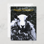 CARTES POUR FÊTES ANNUELLES SHEEP (Devant / Derrière)