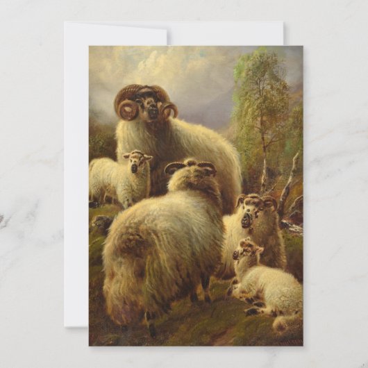 Cartes Pour Fêtes Annuelles Sheep écossais des Highlands (Devant)