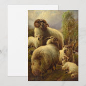 Cartes Pour Fêtes Annuelles Sheep écossais des Highlands (Devant / Derrière)