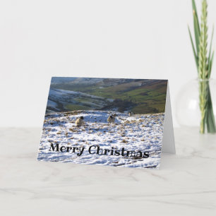 Cartes Pour Fêtes Annuelles Sheep on a Snowy Field