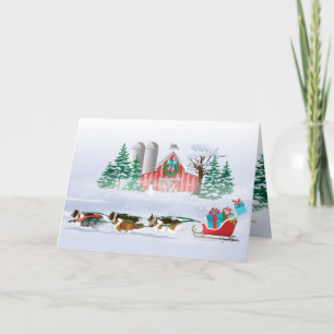 Cartes Pour Fêtes Annuelles Sheltie Dogs tirant Red Sleigh