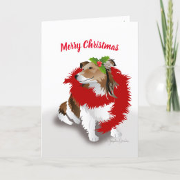 Cartes Pour Fêtes Annuelles Shelty, Red Scarf et Holly, Noël de Noël