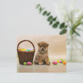 Cartes Pour Fêtes Annuelles Shiba Inu de Pâques (Debout devant)