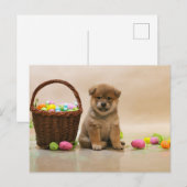 Cartes Pour Fêtes Annuelles Shiba Inu de Pâques (Devant / Derrière)