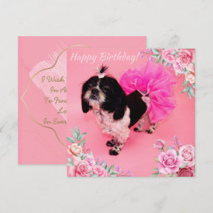 Cartes Pour Fêtes Annuelles Shih Tzu
