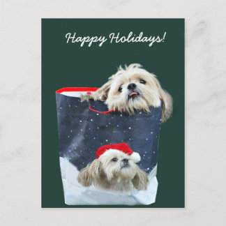 Cartes Pour Fêtes Annuelles Shih Tzu cadeau de Noël