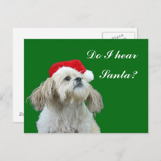 Cartes Pour Fêtes Annuelles Shih Tzu détecte à l'oreille Père Noël (Devant / Derrière)