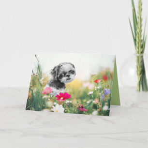 Cartes Pour Fêtes Annuelles Shih Tzu Girl and Flower Field Grey Card