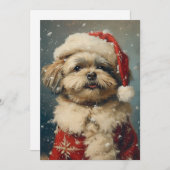 Cartes Pour Fêtes Annuelles Shih Tzu Noël (Devant / Derrière)