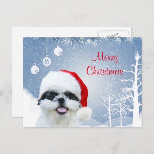 Cartes Pour Fêtes Annuelles Shih Tzu Noël (Devant / Derrière)