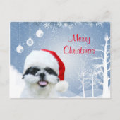 Cartes Pour Fêtes Annuelles Shih Tzu Noël (Devant)