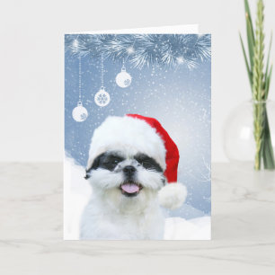 Cartes Pour Fêtes Annuelles Shih Tzu Noël