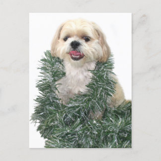 Cartes Pour Fêtes Annuelles Shih Tzu Noël