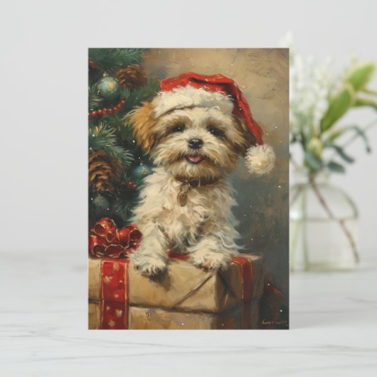 Cartes Pour Fêtes Annuelles Shih Tzu Noël (Debout devant)