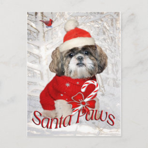 Cartes Pour Fêtes Annuelles Shih Tzu Père Noël Paws cadeaux