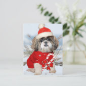 Cartes Pour Fêtes Annuelles Shih Tzu Père Noël Paws cadeaux (Debout devant)