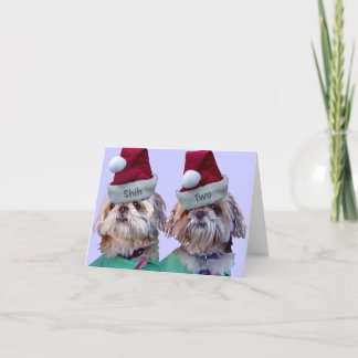 Cartes Pour Fêtes Annuelles Shih Tzu - Shih deux