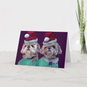 Cartes Pour Fêtes Annuelles Shih Tzues Shih Two