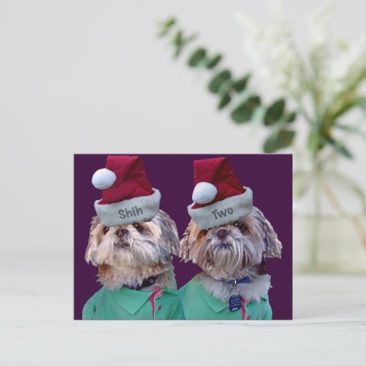 Cartes Pour Fêtes Annuelles Shih Tzues Shih Two Christmas Grey Card (Debout devant)