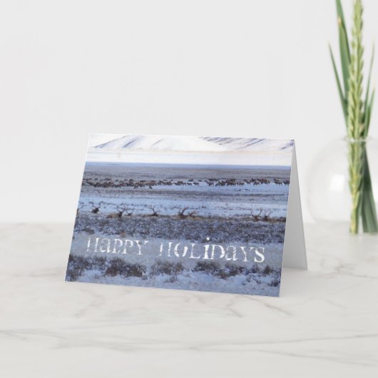 Cartes Pour Fêtes Annuelles Shootin (Devant)