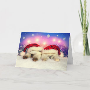 Cartes Pour Fêtes Annuelles Siamese Kitten : Père Noël Twinsies
