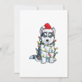 Cartes Pour Fêtes Annuelles Sibérien Husky Père Noël Noël Lumières Noël (Devant)