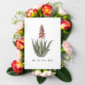 Cartes Pour Fêtes Annuelles Simple Aloe Vous Verrez Beaucoup Blair Cactus Plan
