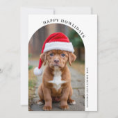 Cartes Pour Fêtes Annuelles Simple Arche Noël Personnalisé Animaux de Compagni (Devant)
