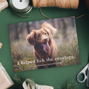 Cartes Pour Fêtes Annuelles Simple Type Funny Pet Noël