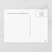 Cartes Pour Fêtes Annuelles simplement un colibri sur un bâton, Joyeux Noël (Dos)