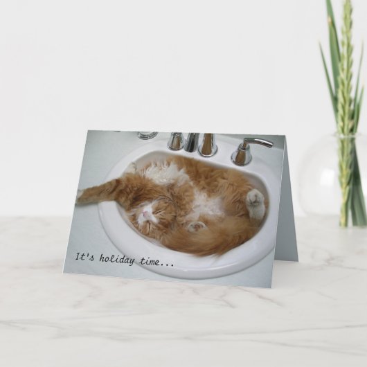 Cartes Pour Fêtes Annuelles Sink cat holiday card (Devant)