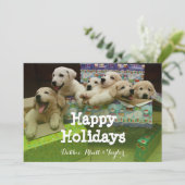 Cartes Pour Fêtes Annuelles Six chiots assis dans des boîtes de Noël (Debout devant)